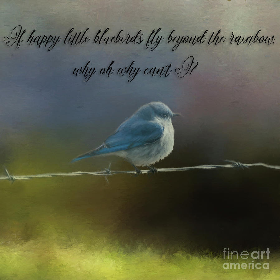 Happy Little Bluebird Photograph by Janice Pariza