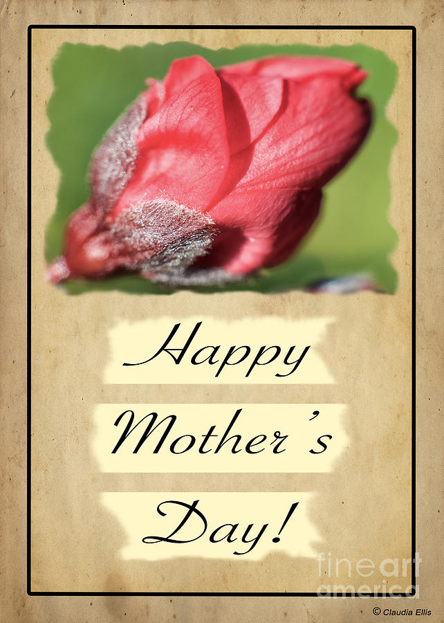 Happy Mothers Day - Card Number 003 by Claudia Ellis Digital Art by Claudia Ellis