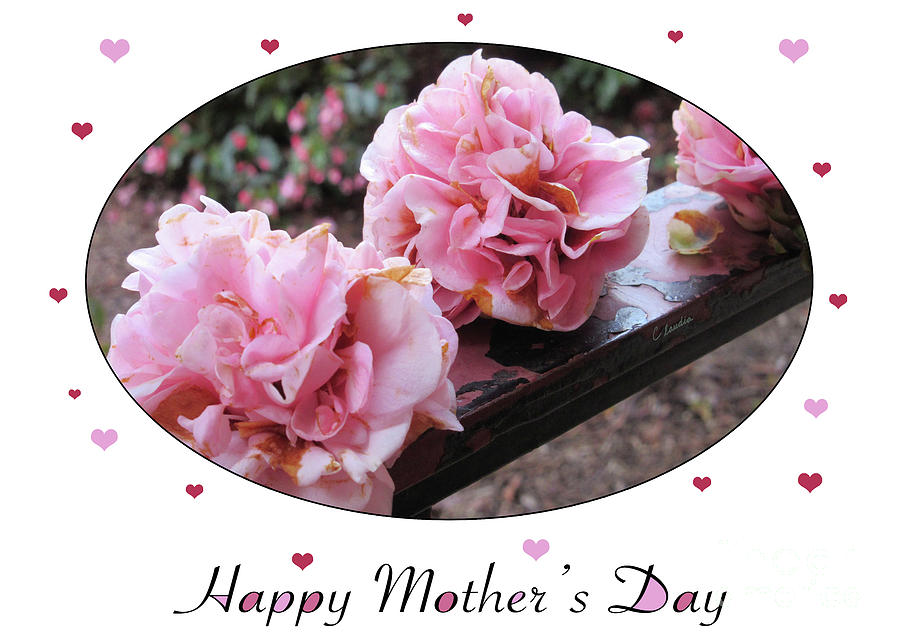 Flower Photograph - Happy Mothers Day - Card Number 004 by Claudia Ellis by Claudia Ellis