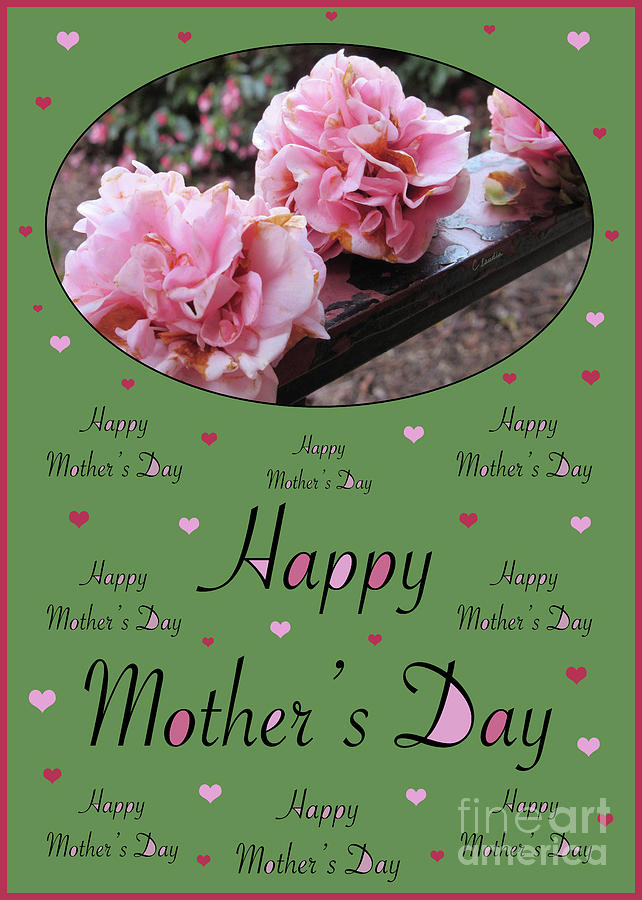 Happy Mothers Day - Card Number 005 by Claudia Ellis Photograph by Claudia Ellis