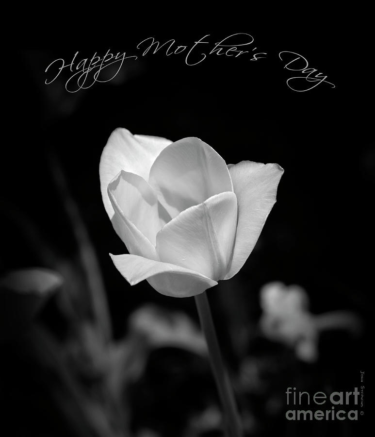 Happy Mothers Day Floral Black and White Photograph by Lone Palm Studio