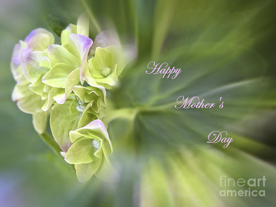 Happy Mothers Day Greeting Card Photograph by Ella Kaye Dickey