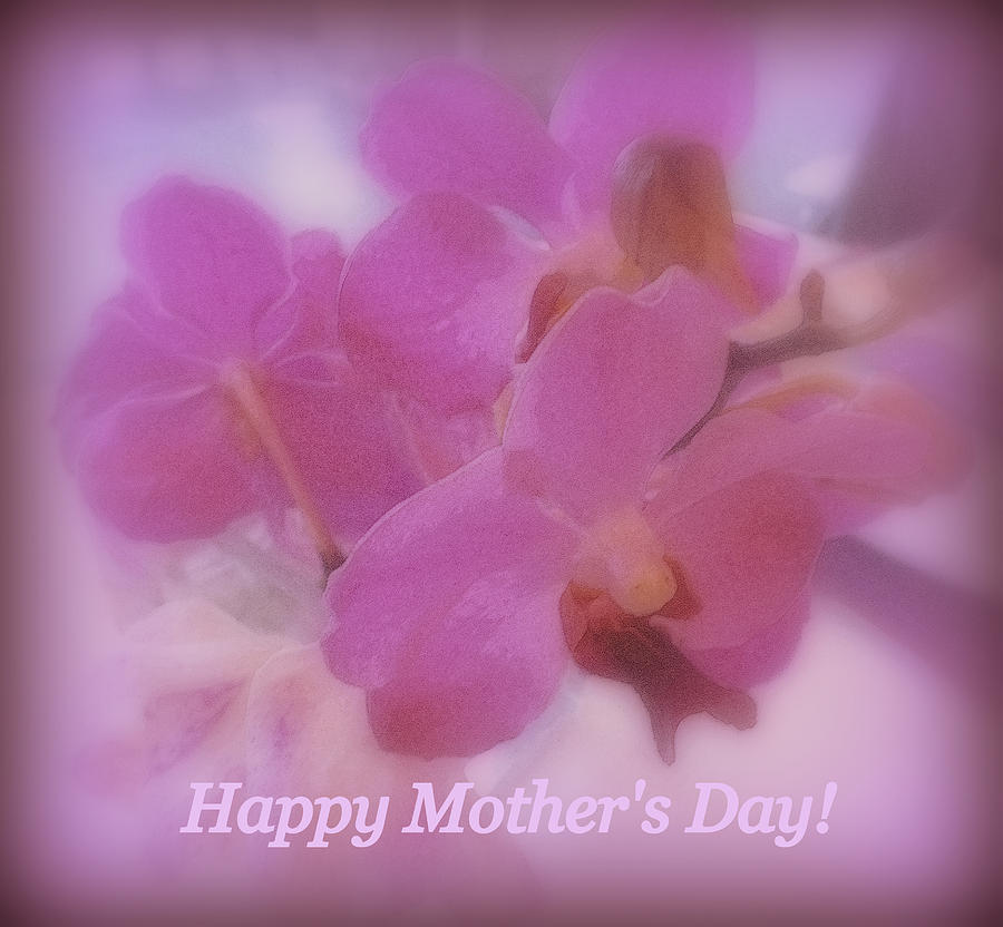 Happy Mothers Day Orchids Photograph by Kay Novy