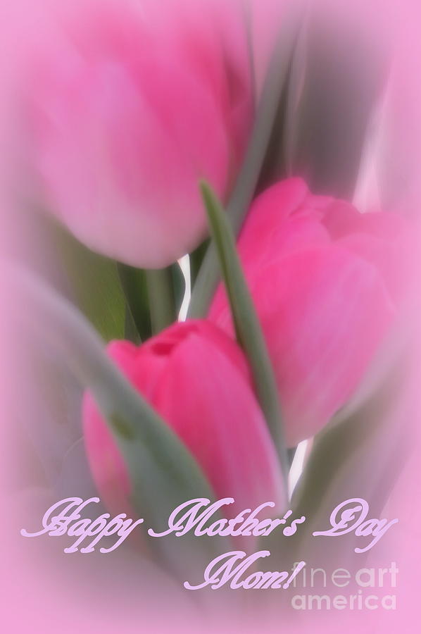 Happy Mothers Day Pink Tulips Photograph by Kay Novy
