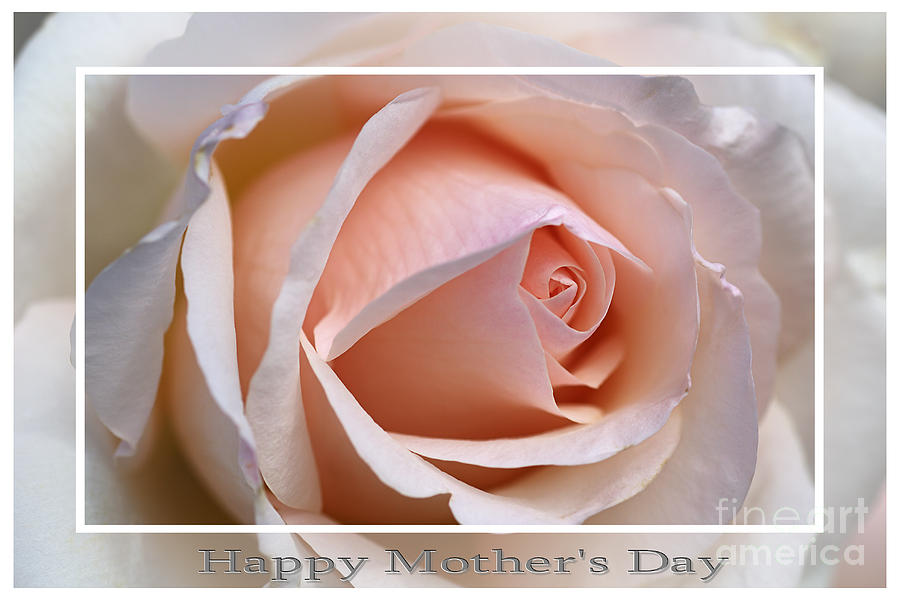 Mothers Day Photograph - Happy Mothers Day Soft Rose by Joy Watson
