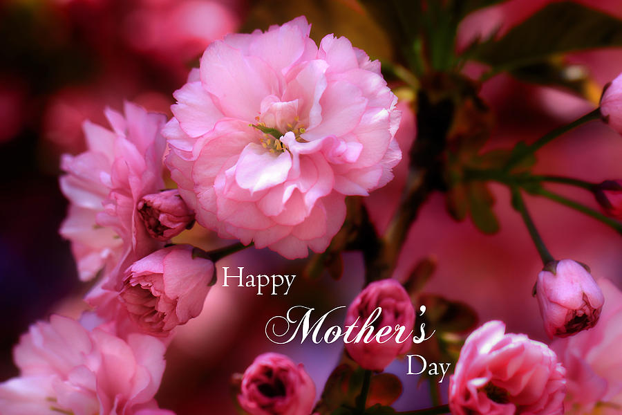 Happy Mothers Day Spring Pink Cherry Blossoms Photograph