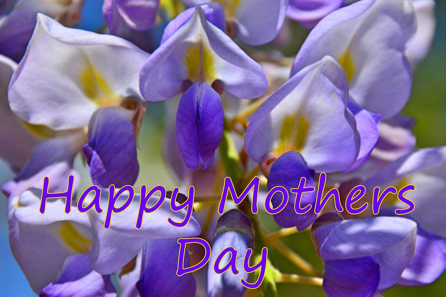 Happy Mothers Day Wisteria Photograph by Lisa Wooten