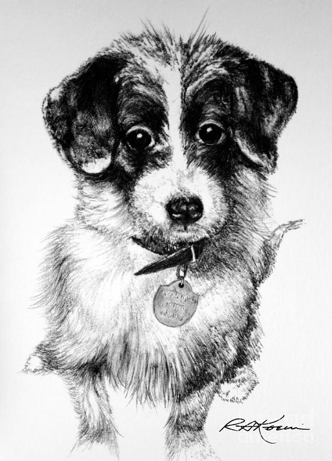 Happy Mutt Drawing by Roy Anthony Kaelin - Fine Art America