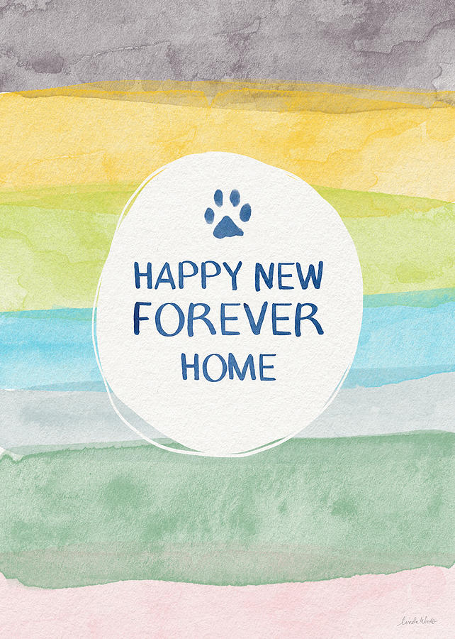 Cat Mixed Media - Happy New Forever Home- Art by Linda Woods by Linda Woods