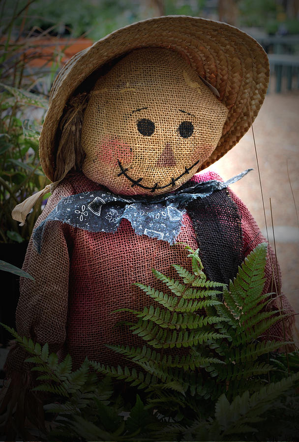 Happy Scarecrow Photograph by Karen Harrison Brown