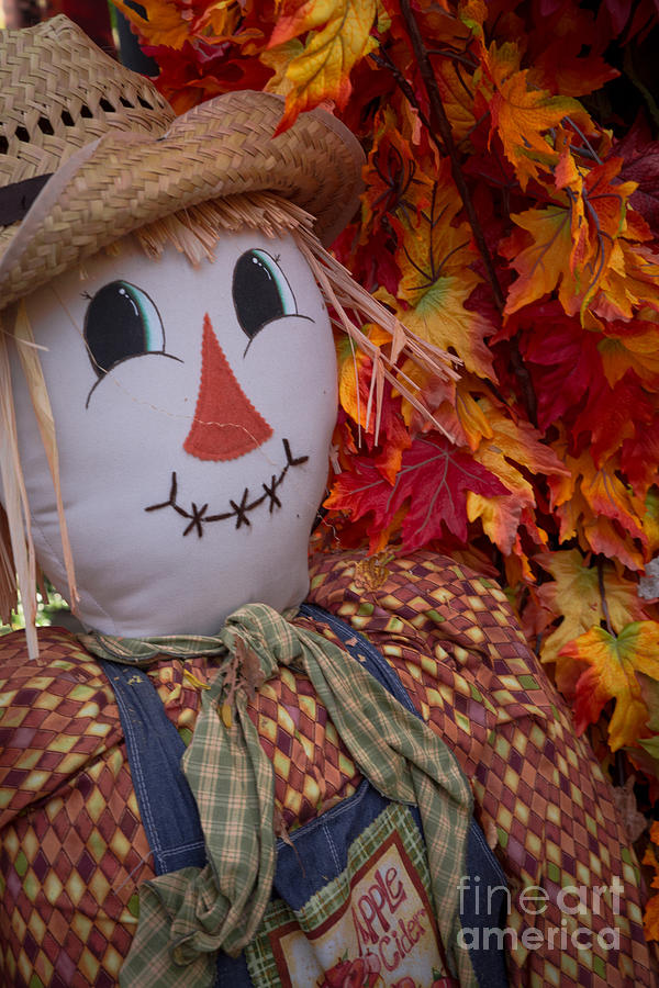 Happy Scarecrow Photograph by Lynn Sprowl
