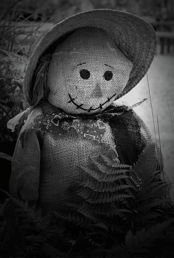 Happy Scarecrow2 Photograph by Karen Harrison Brown