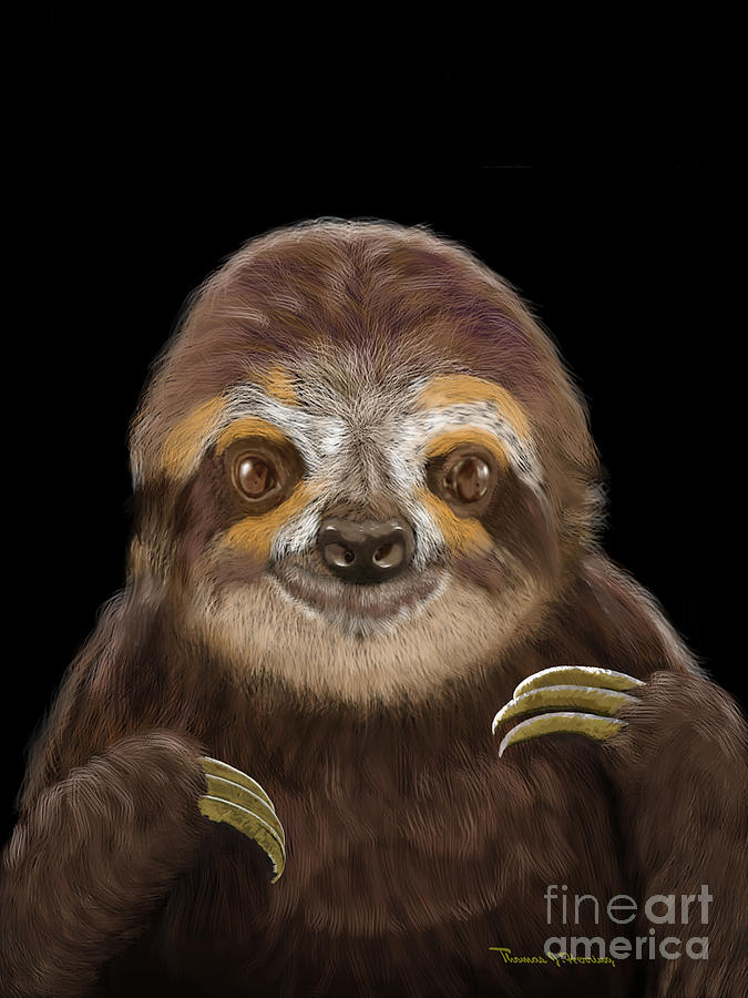 Happy Three Toe Sloth by Thomas J Herring Happy Three Toe Sloth by Thomas J Herring