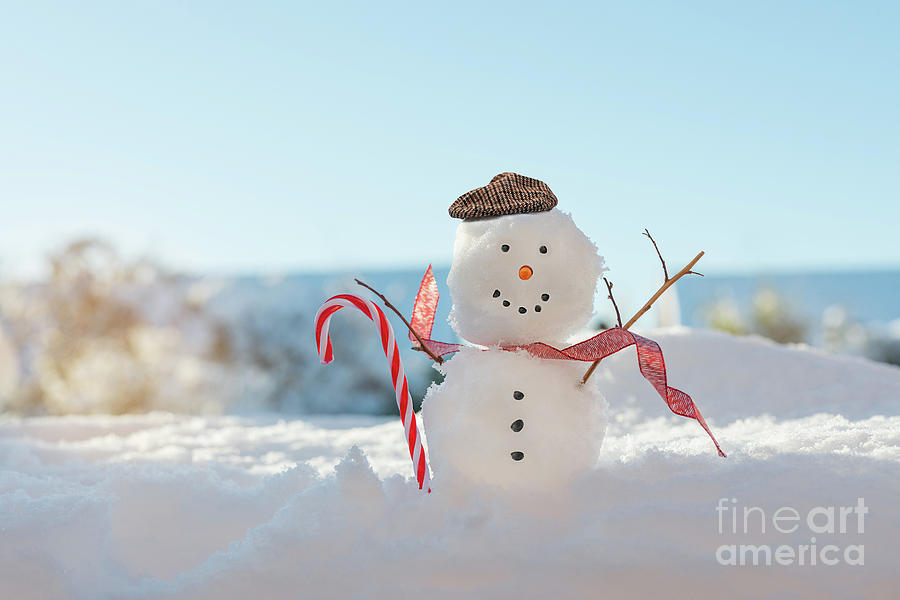 Happy Smiling Snowman With Candy Cane Photograph by Amanda Elwell