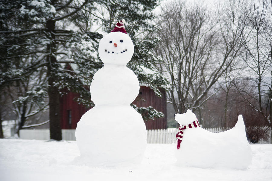 Happy snowman and his dog photograph by george oze fine art america