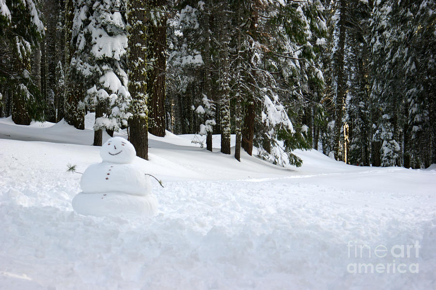 Winter Photograph - Happy Snowman by Christine Jepsen