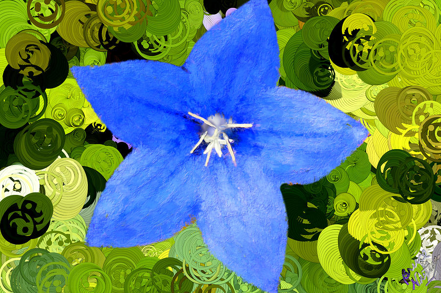 Happy Solitary Blue Flower Painting by Bruce Nutting