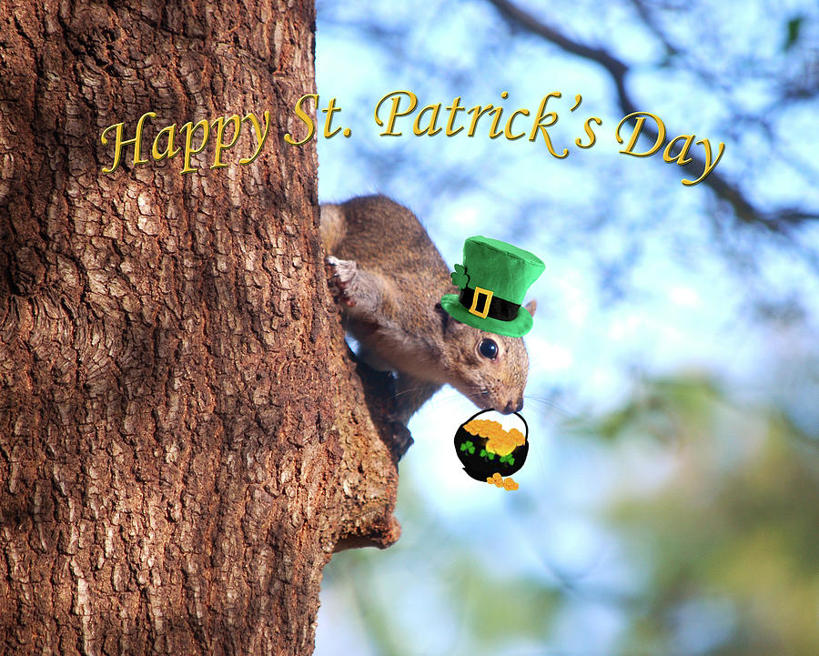 Happy St. Pats Day Card Photograph by Adele Moscaritolo