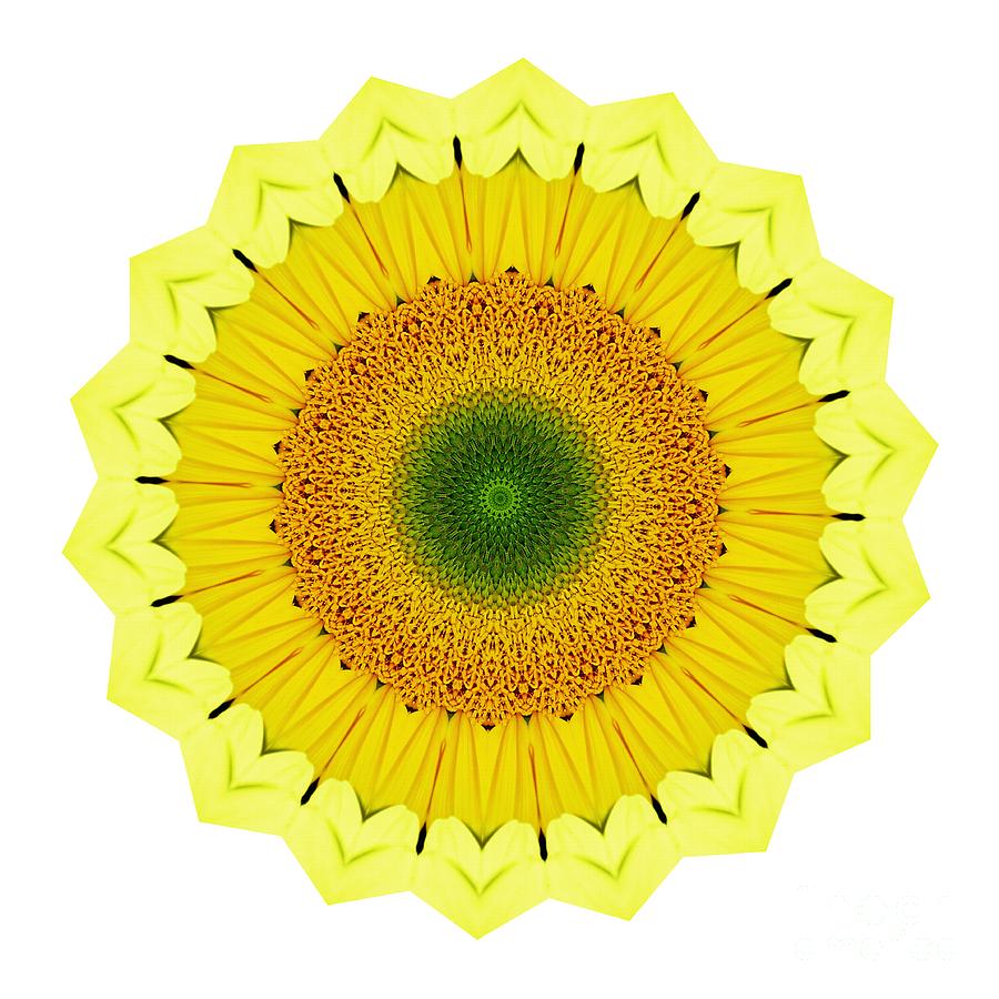 Happy Sunflower Mandala by Kaye Menner Photograph by Kaye Menner
