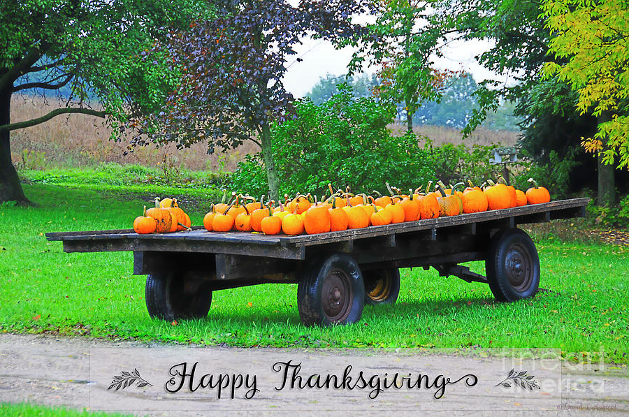 Happy Thanksgiving Photograph by David Arment