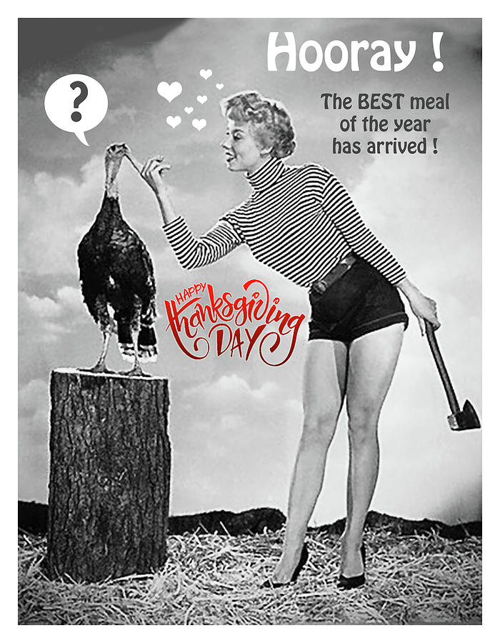 https://images.fineartamerica.com/images/artworkimages/mediumlarge/1/happy-thanksgiving-funny-greetings-long-shot.jpg