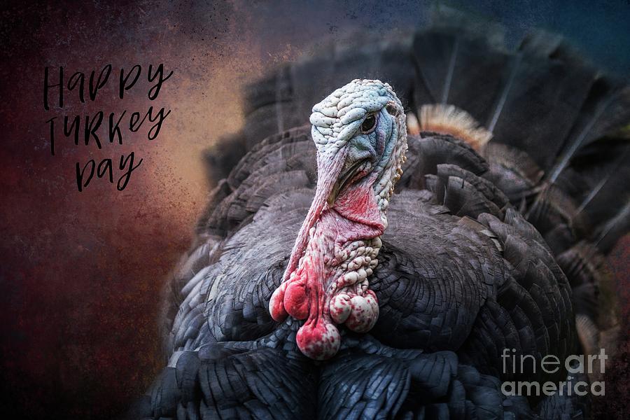 Thanksgiving Photograph - Happy Turkey Day by Eva Lechner