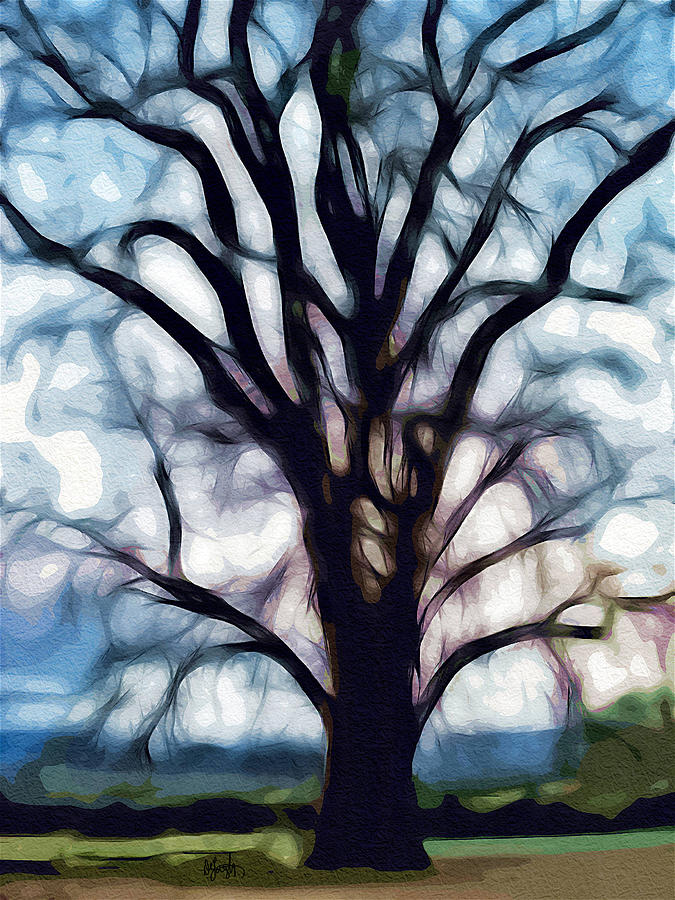 Nature Digital Art - Happy Valley Tree by Holly Ethan