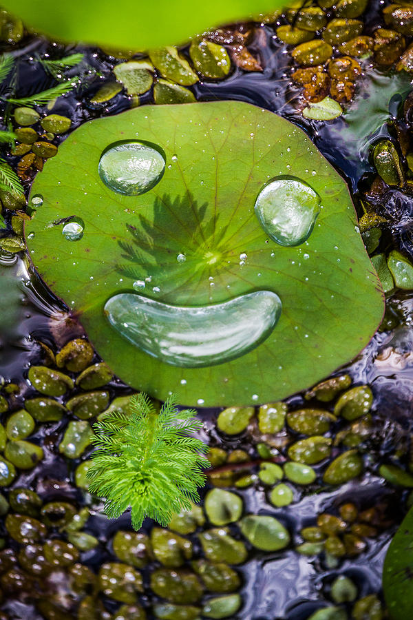 Happy Water Face Photograph by Roger Mullenhour
