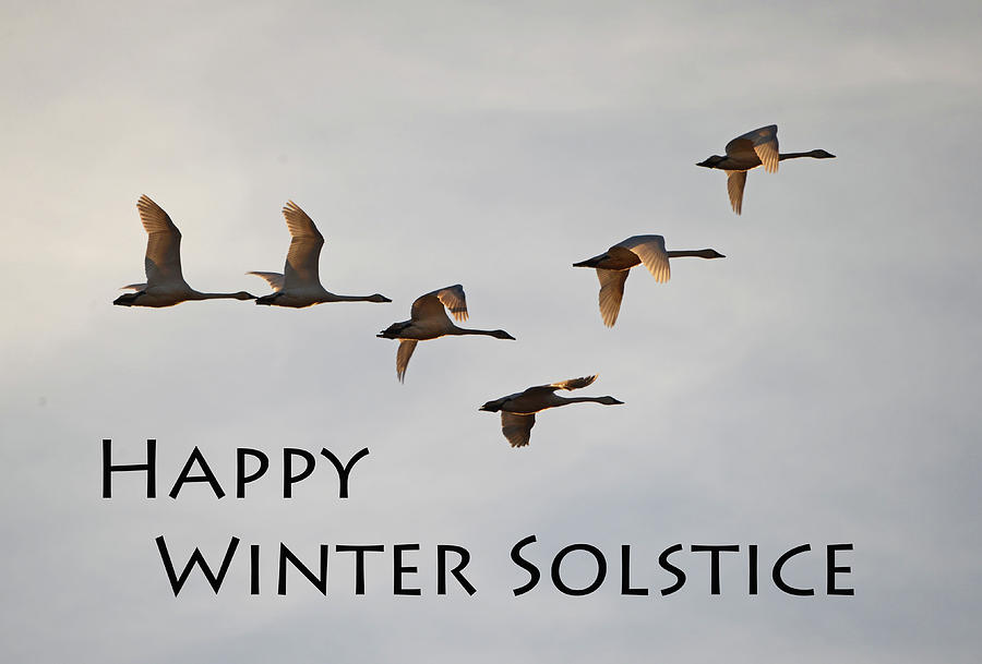 Happy Winter Solstice Photograph by Whispering Peaks Photography