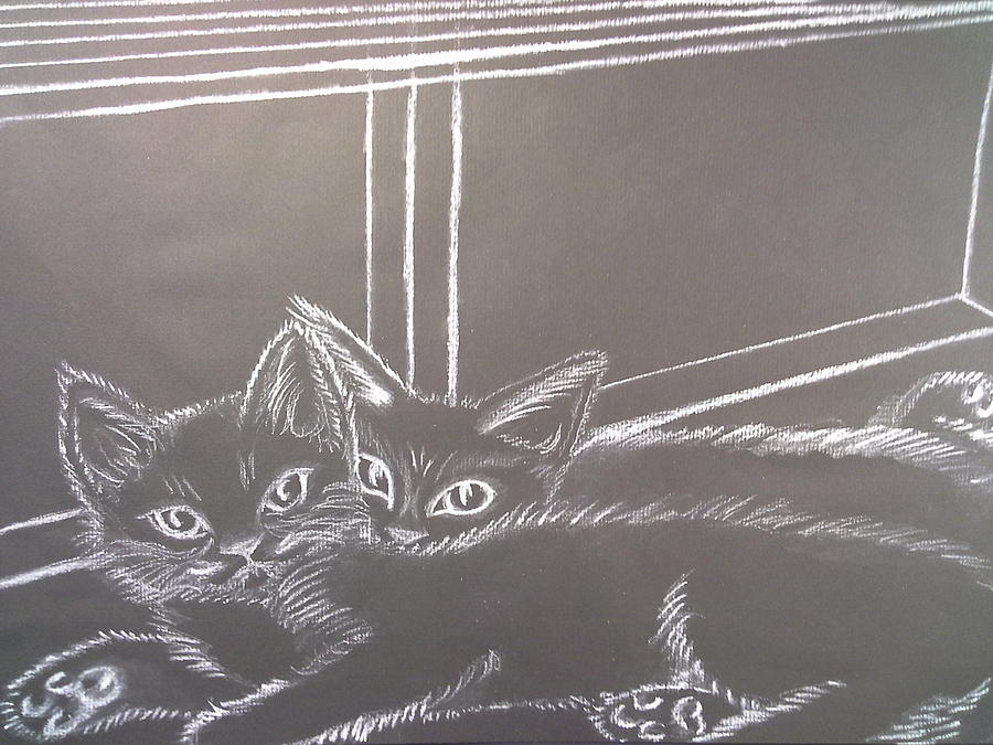 Happy's 2002 Kittens Window Seat Drawing by Happy Byrd - Fine Art America