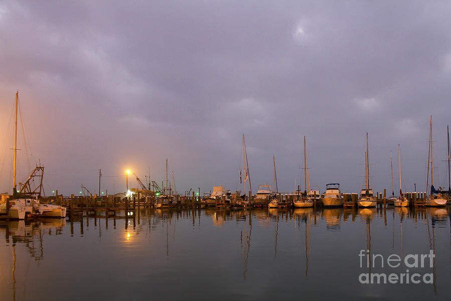 Harbor at dawn Photograph by Karen Foley