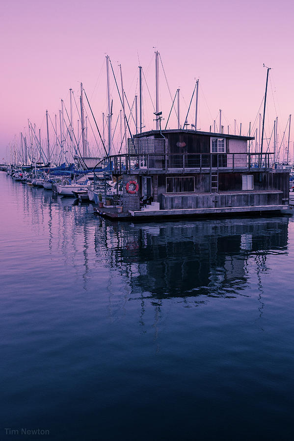 Harbor at Santa Barbara Photograph by Tim Newton