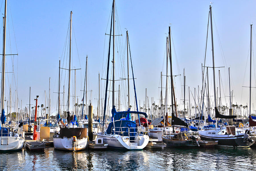 Harbor Boats Photograph by Karen Ruhl