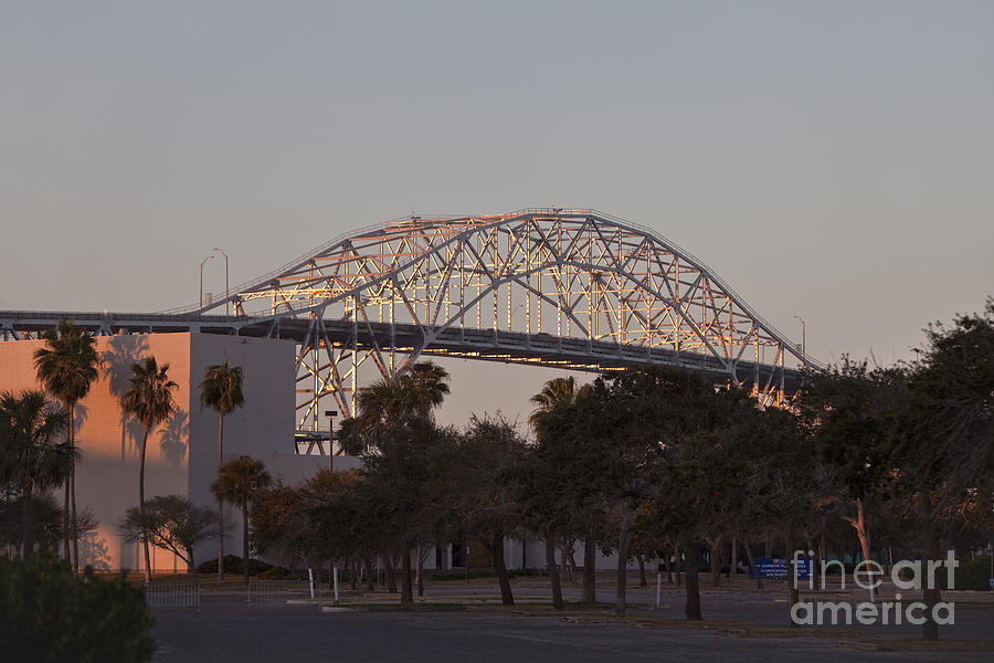 Harbor Bridge, Corpus Christi Photograph by Inga Spence