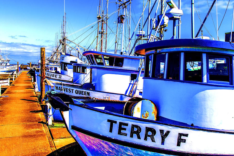 Harbor Colors II Photograph by Larry Waldon