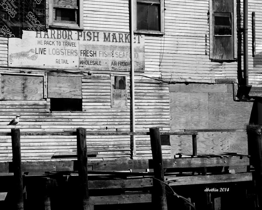 Harbor Fish Market Photograph by Dick Botkin