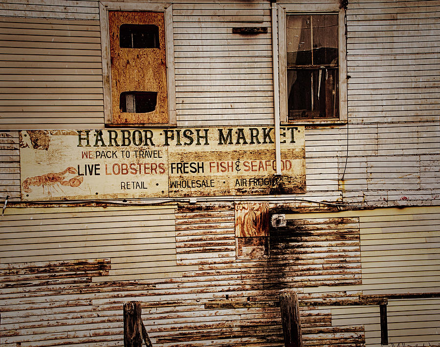 Harbor Fish Market Photograph by Mick Burkey