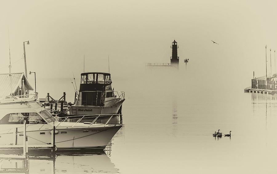 Harbor Fog Photograph by Patti Raine