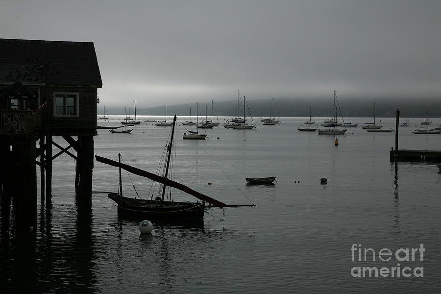 Harbor Fog Photograph