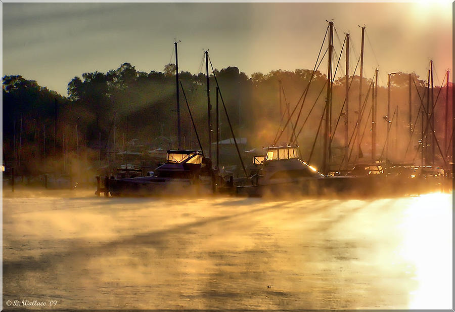 Harbor Mist Photograph by Brian Wallace