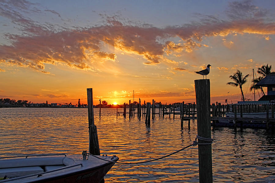 Sunset Photograph - Harbor Patrol by HH Photography of Florida