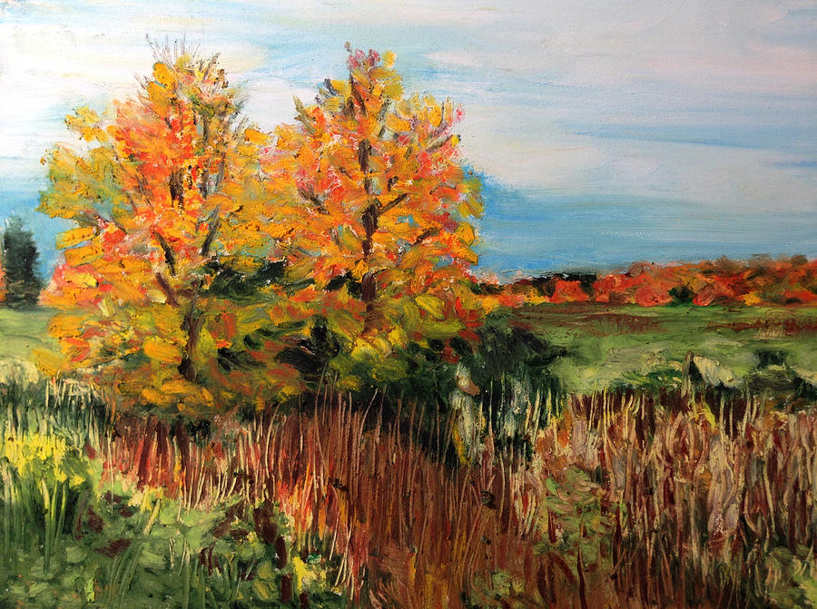 Lake Michigan Painting - Harbor Springs Autumn by Janice Williams
