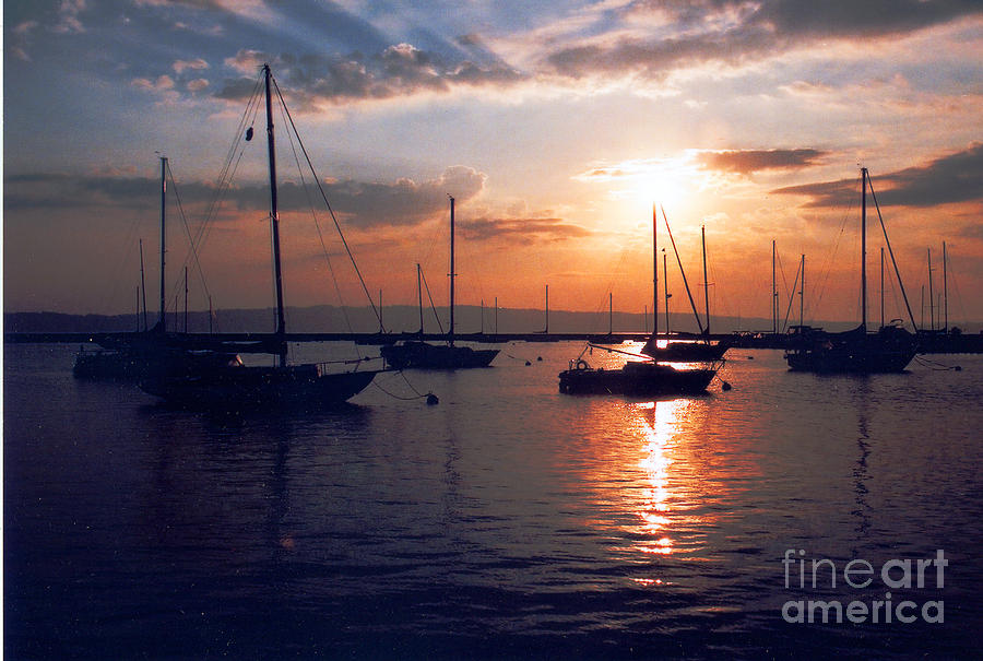 Sunset Photograph - Harbor Sunrise by Crystal Nederman