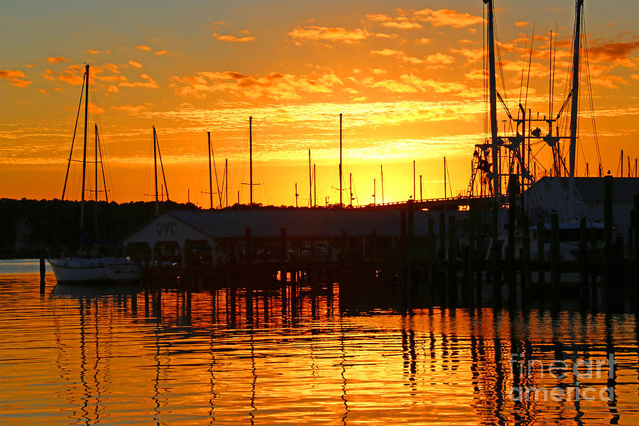 Harbor Sunset Photograph by Marty Fancy