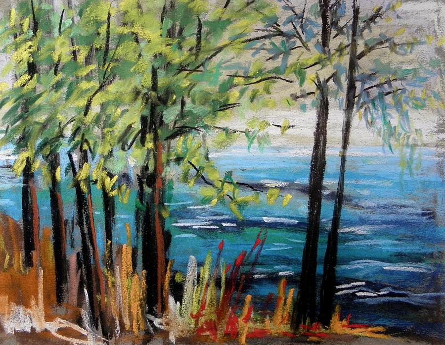 Harbor Trees Painting by John Williams