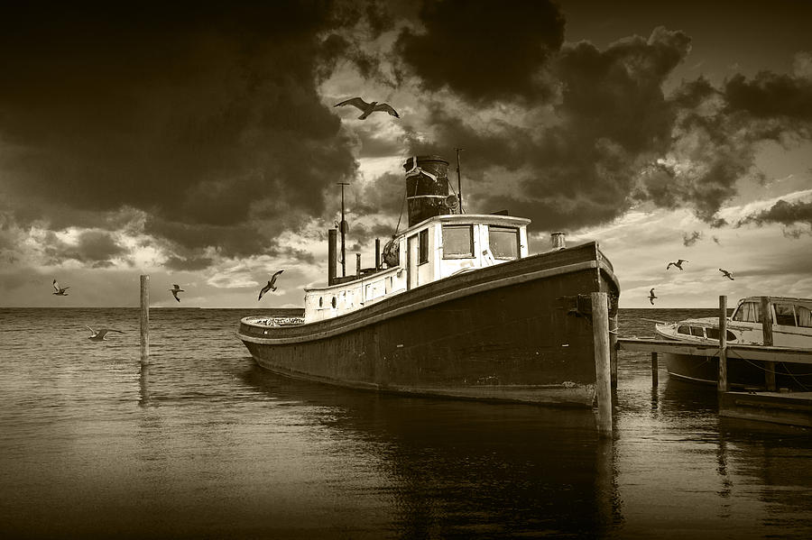 Harbor Tugboat in Sepia Tone with Gulls Photograph by Randall Nyhof