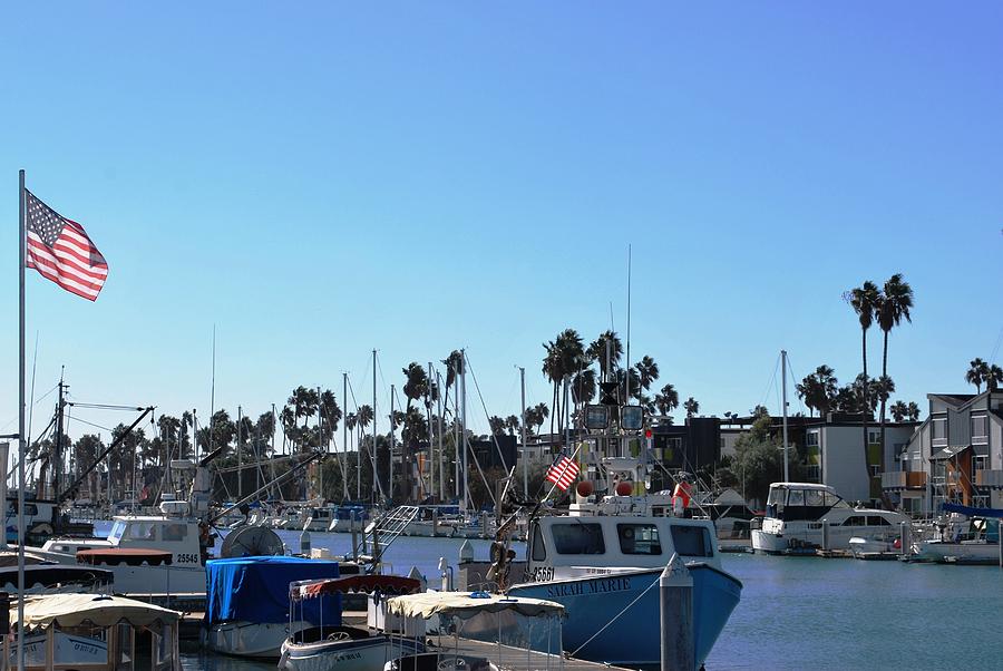 City Photograph - Harbor View with American Flag by Matt Quest