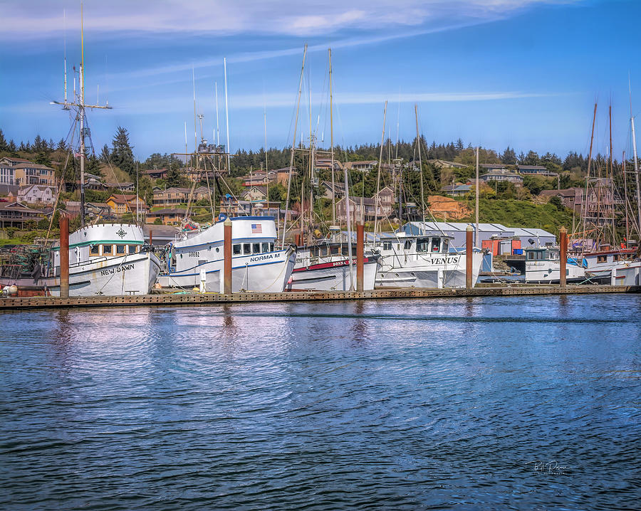 Harbor Whites Photograph by Bill Posner