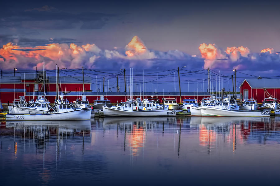 Harbor with Fishing Fleet in Cascumpec Bay Photograph by Randall Nyhof