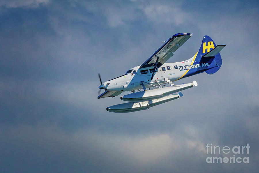 Harbour Air Seaplane Photograph by Jerry Fornarotto